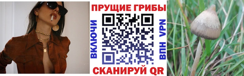 Галлюциногенные грибы MAGIC MUSHROOMS Тарко-Сале